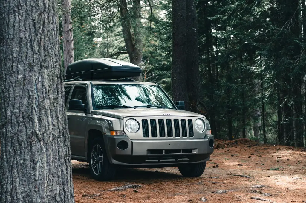 A parked SUV with a roof box in a wooded area of Algonquin Park, Canada, during fall