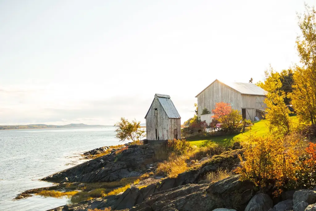 Autumn view of rustic barns and coastline in Québec, Canada during golden hour