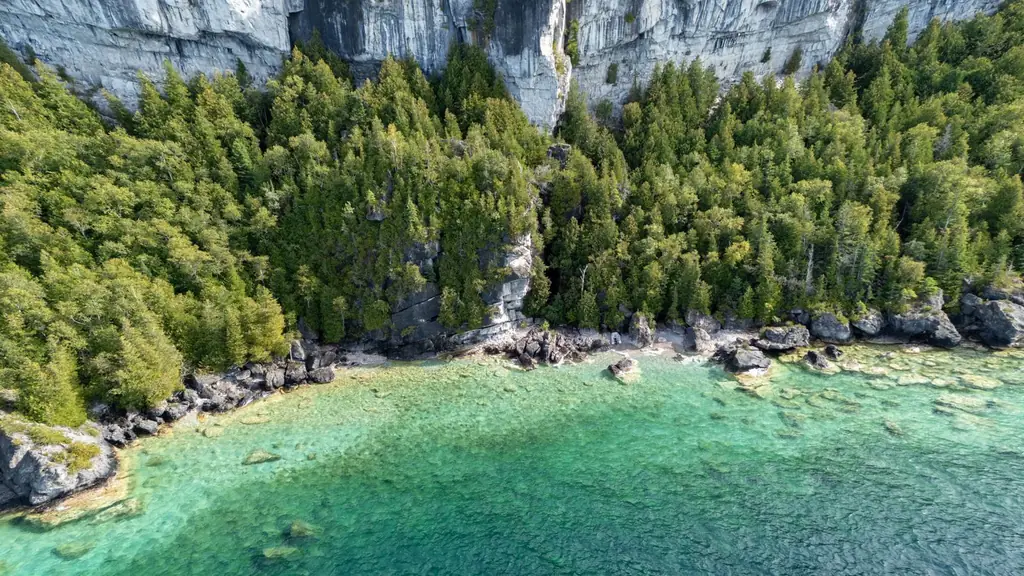 Aerial view of the Georgian Bay cliffs and lush forest by the turquoise shoreline