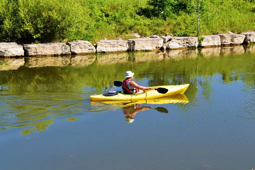 A man kayaks leisurely on a tranquil river in Collingwood, Ontario, amidst lush greenery