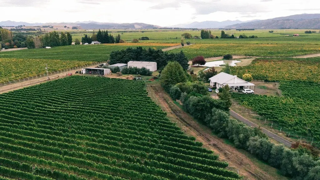 Aerial photograph showcasing expansive autumn vineyards and farmland under a cloudy sky
