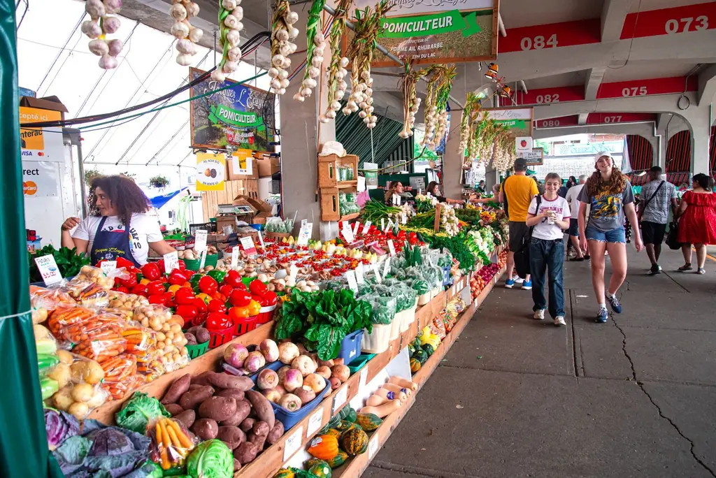 Colorful farmers market scene with a variety of fresh vegetables and shoppers exploring the stalls