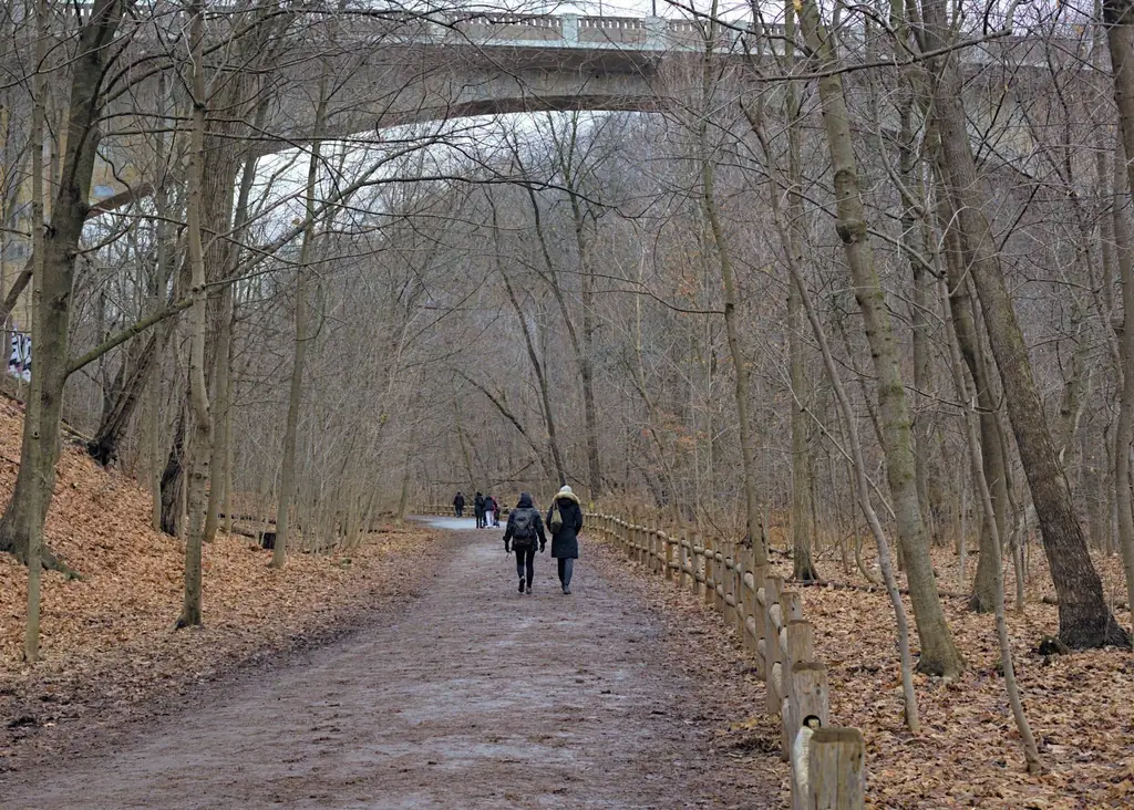 Autumn footpath beneath a bridge in a Toronto ravine
