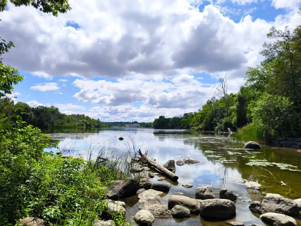 Summer view of a river in Peterborough, Canada with lush greenery and blue skies