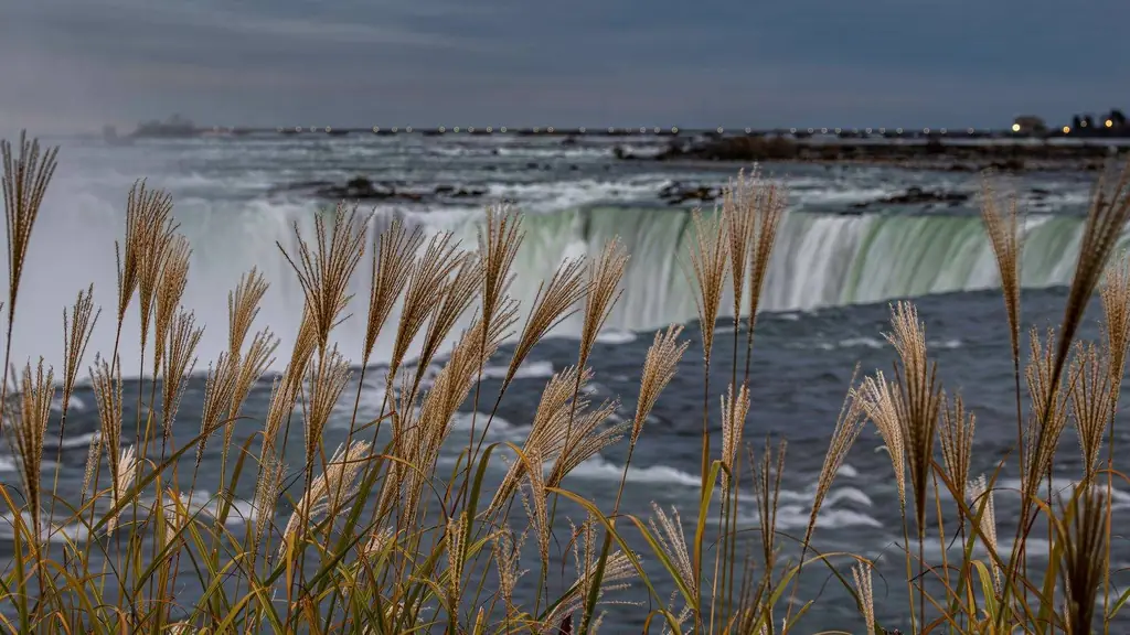 Tall grasses frame a stunning view of Niagara Falls under a cloudy sky