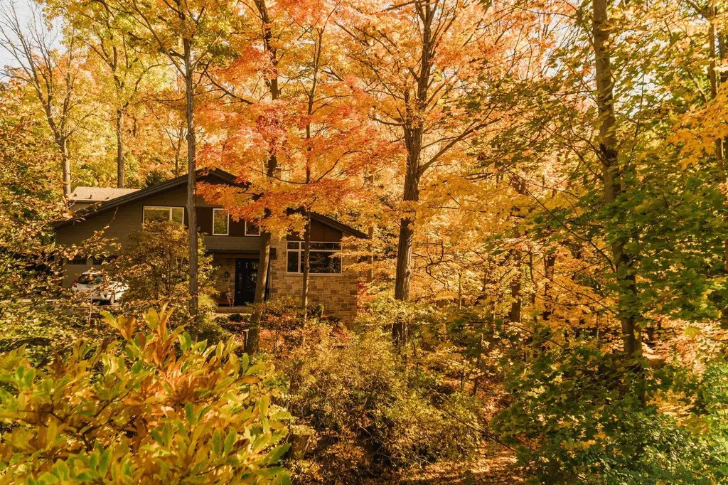 Fall foliage surrounding a rustic cabin in Hamilton, Ontario
