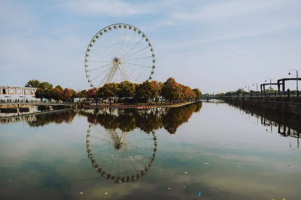 Reflection of a Ferris wheel in water with autumn trees in Montreal