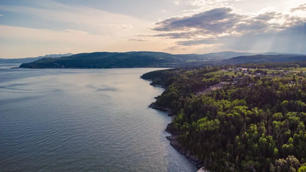 Aerial shot of La Malbaie's lush forest and serene coastline in Quebec, Canada