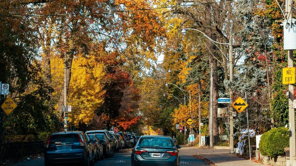 Fall colors line a street in Toronto