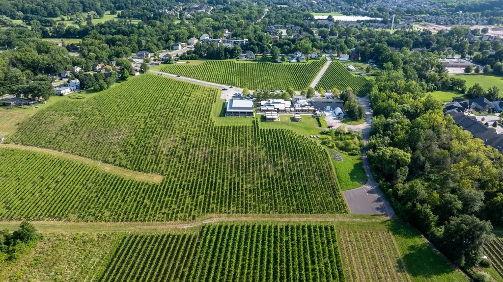 Expansive aerial shot showcasing a vineyard in Niagara-on-the-Lake, Canada during summer