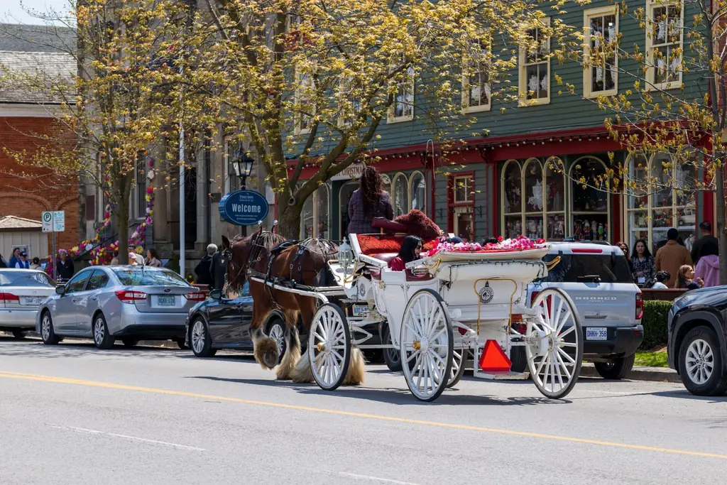 Horse-drawn carriage on a historic town main street in spring