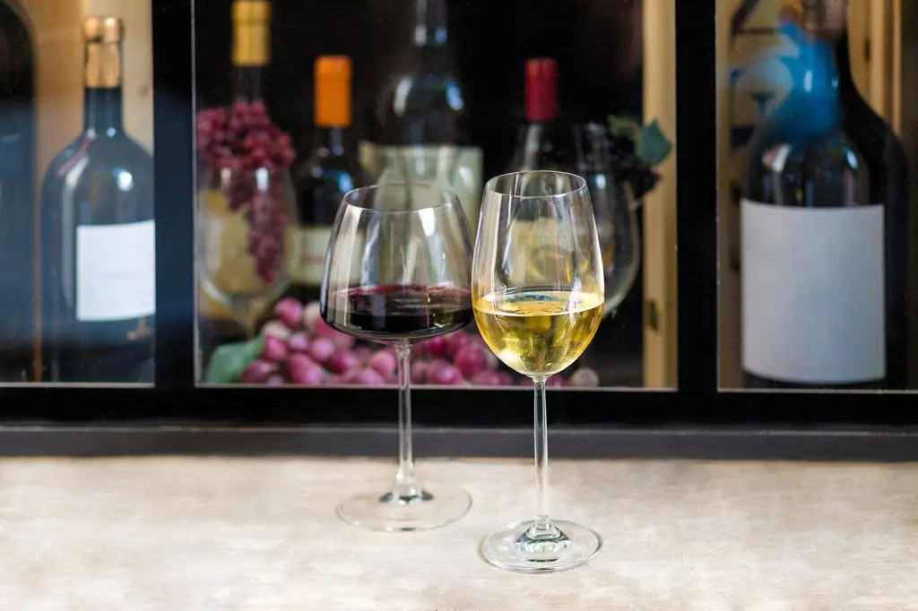 Close-up of red and white wine glasses with bottles and grapes in the background